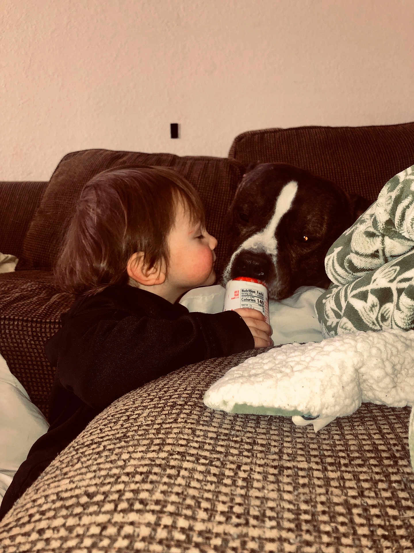 Zayn joined the competition — help win amazing prizes! toddler, child, dog, bottle, couch, blanket, living_room, curious, face, pet, furniture, indoor, brown, cute, friendship, cozy, person, animal, black_clothing, home