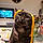 Pixel