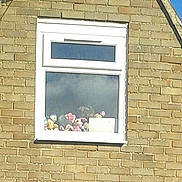 Rosie is registered to the contest to win money with this photo: