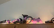 Igoris is registered to the contest to win money with this photo: cat, plush_toys, stuffed_animals, cabinet, wood, sleeping, indoor, wall, purple, pink, unicorn, panda, cozy, cute, resting, animal, soft, decor, collection, toy