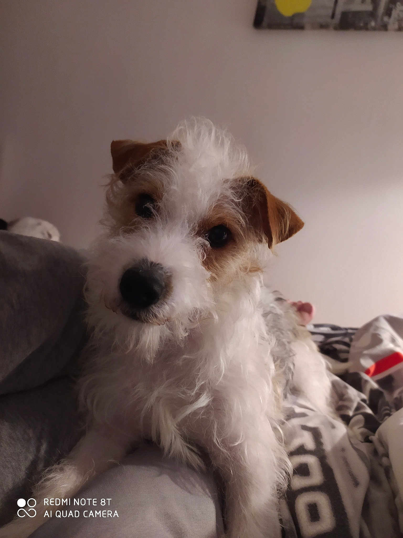 Olympe