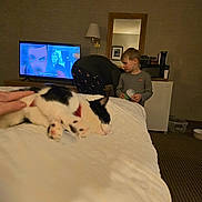 Barry 'Good' Roubaix is registered to the contest to win money with this photo: cat, sleeping_cat, child, bed, blanket, television, tv_screen, hotel_room, pajamas, lamp, mirror, hand, person, refrigerator, cup, carpet, nightstand, indoor, cozy, furniture