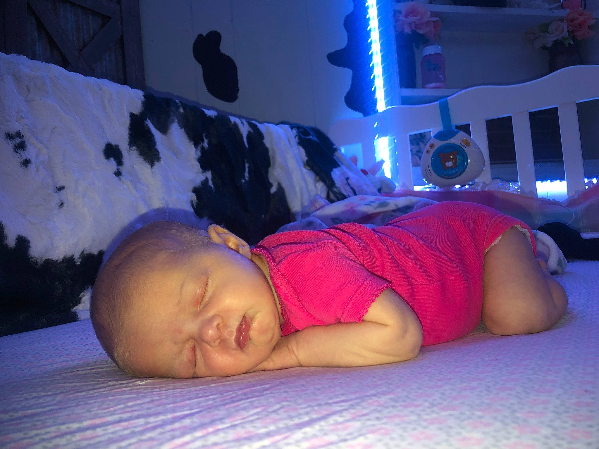 Journie joined the competition — help win amazing prizes! abdomen, bed, bedding, bedroom, bedtime, chest, comfort, elbow, electric_blue, flash_photography, flesh, flooring, fun, human_leg, linens, nap, night, person, room, sitting