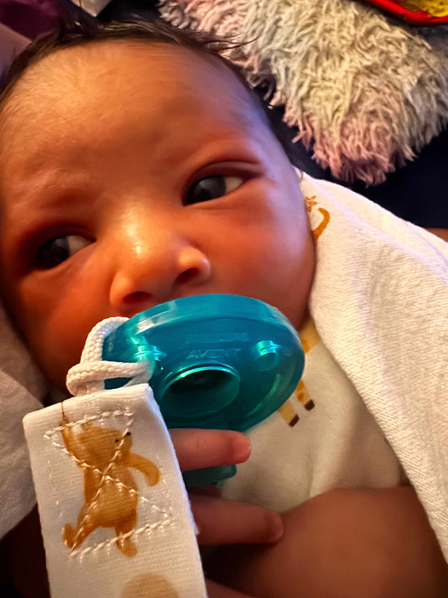 Elijah joined the competition — help win amazing prizes! baby, pacifier, blanket, teddy_bear, infant, close_up, face, hand, soft_texture, cute, newborn, wrapped, comfort, child, indoors, skin, expression, clothing, resting, young