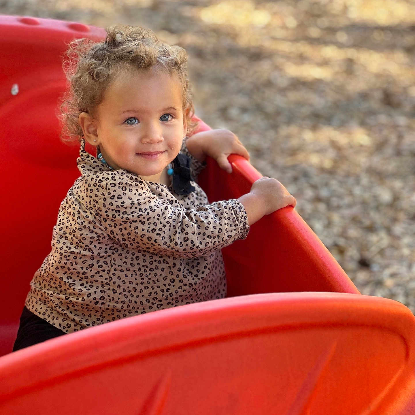 Cyri-Faith is registered to the contest to win money with this photo: child, clothing, coat, face, female, girl, grass, head, jacket, nature, outdoorplayarea, outdoors, park, person, photography, plant, playarea, portrait, slide, toy
