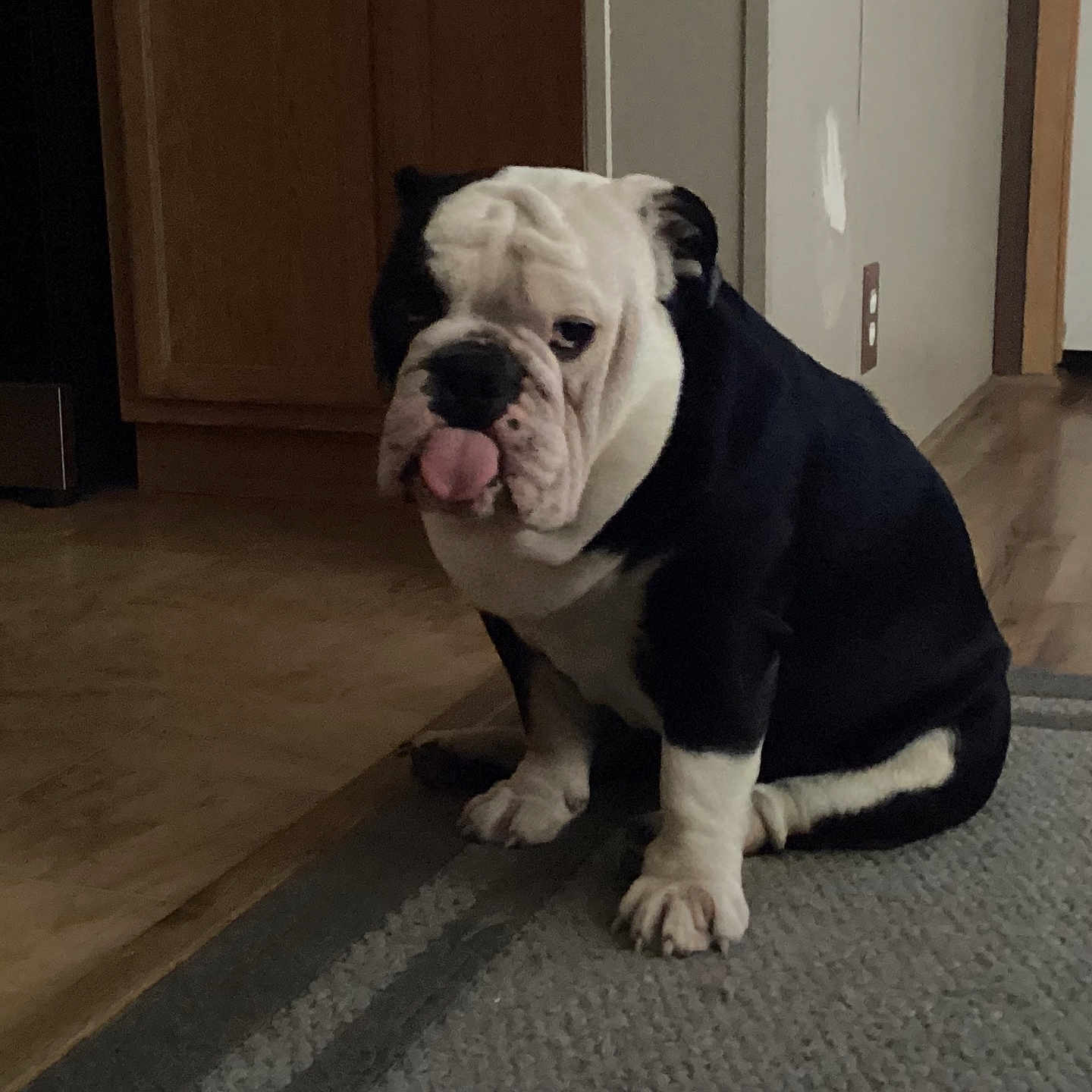 Louie