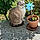 Minette