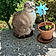 Minette