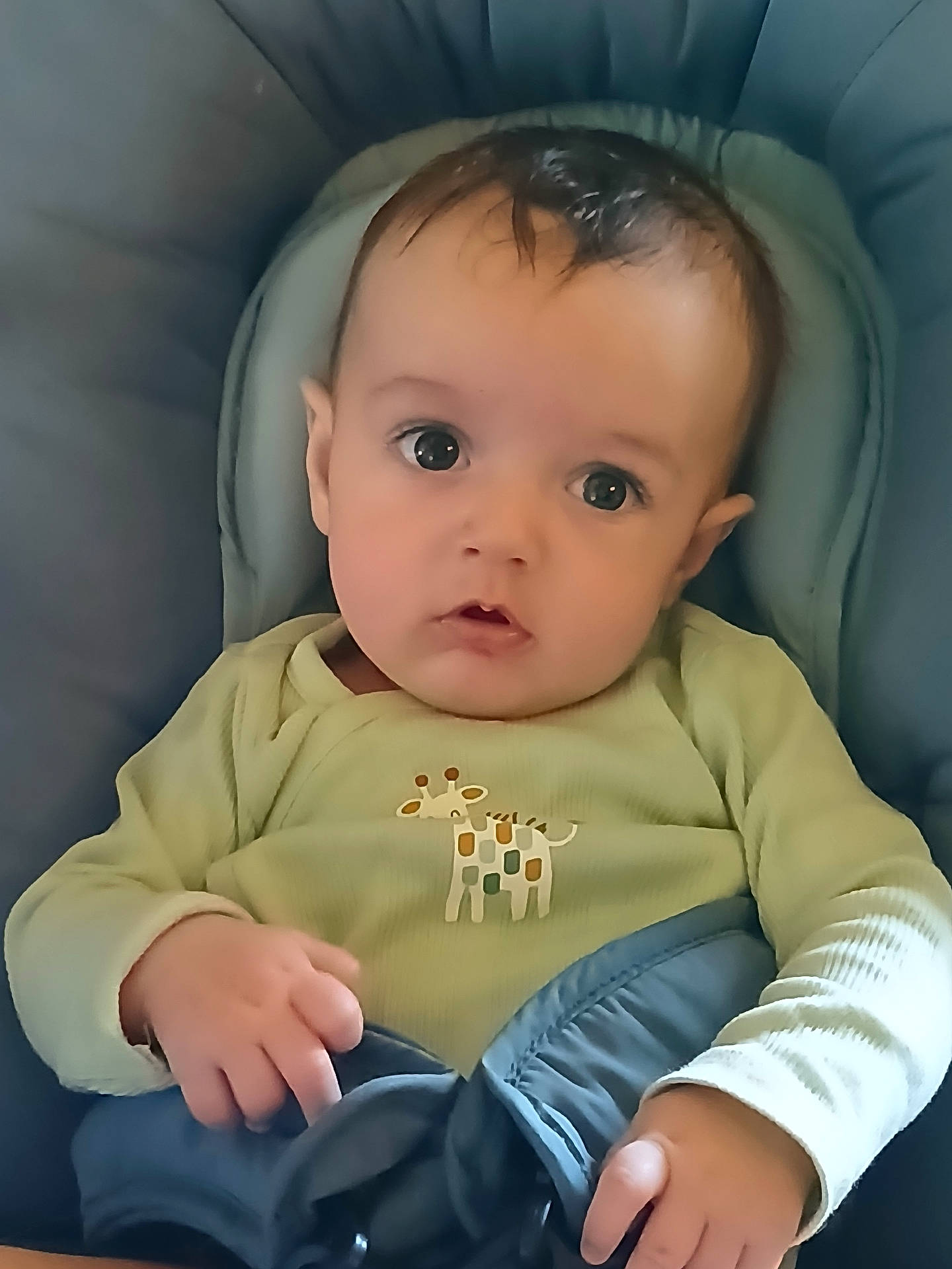 Mathys a rejoint le concours — aidez-le/la à gagner de superbes lots ! baby, blue, child, clothing, comfort, curious, cushion, cute, expression, eyes, face, giraffe_print, hand, indoors, infant, onesie, portrait, seat, soft_lighting, young_child