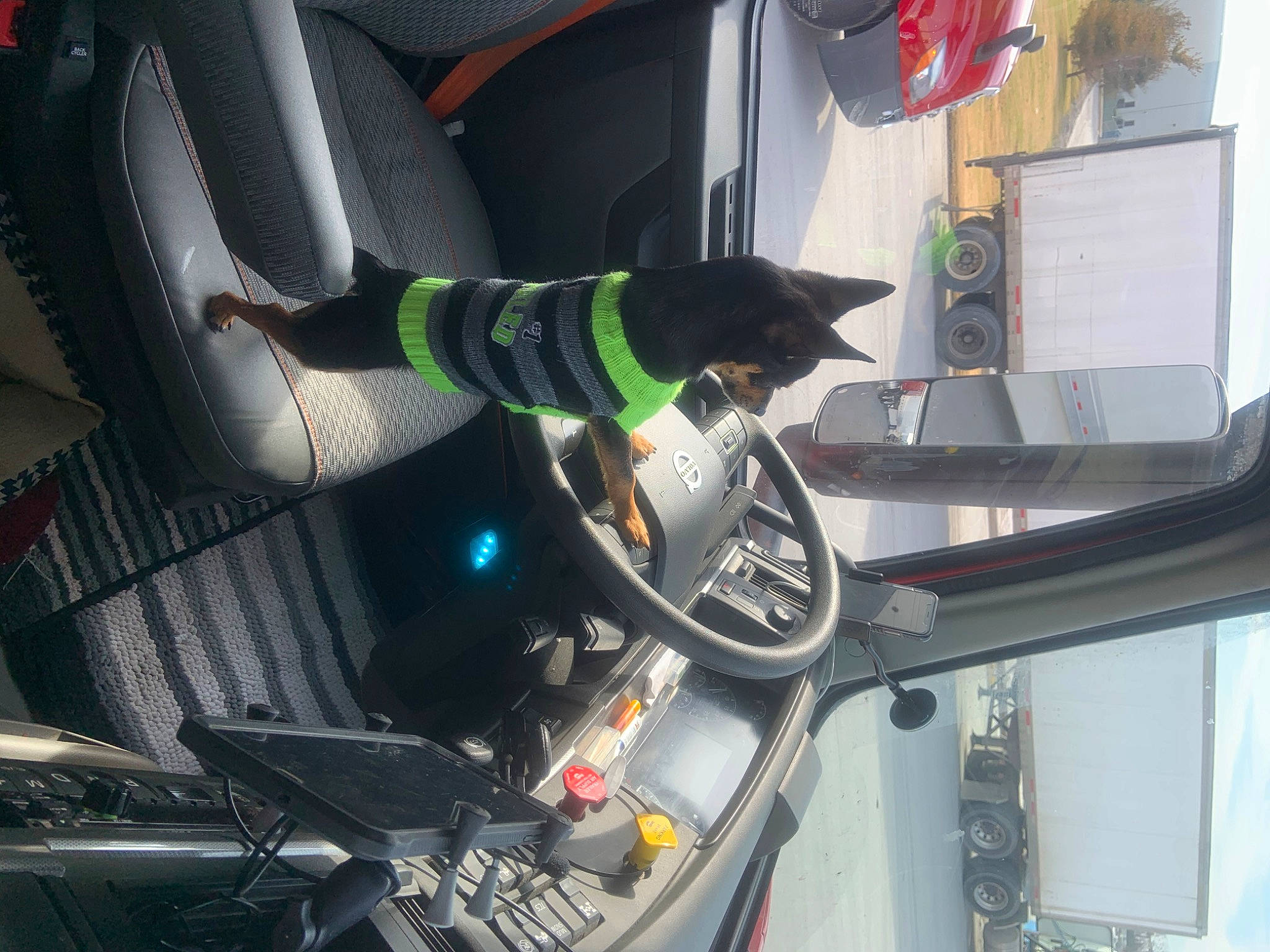 Ozzy is registered to the contest to win money with this photo: auto_part, automotive_design, automotive_exterior, automotive_lighting, automotive_tire, automotive_wheel_system, automotive_window_part, car_seat_cover, dog, electrical_wiring, engineering, fixture, hood, machine, motor_vehicle, personal_luxury_car, steering_wheel, vehicle, vehicle_door, windshield