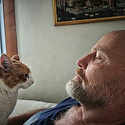Cesar a rejoint le concours — aidez-le/la à gagner de superbes lots ! man, cat, beard, indoor, portrait, relaxation, curtains, window, painting, furniture, whiskers, face, pet, animal, human, resting, closeup, side_profile, brown_white_cat, casual_clothing