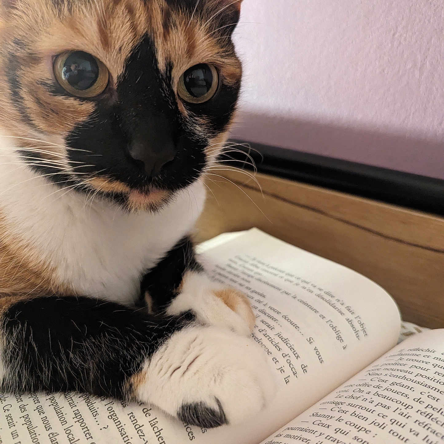 Mia
