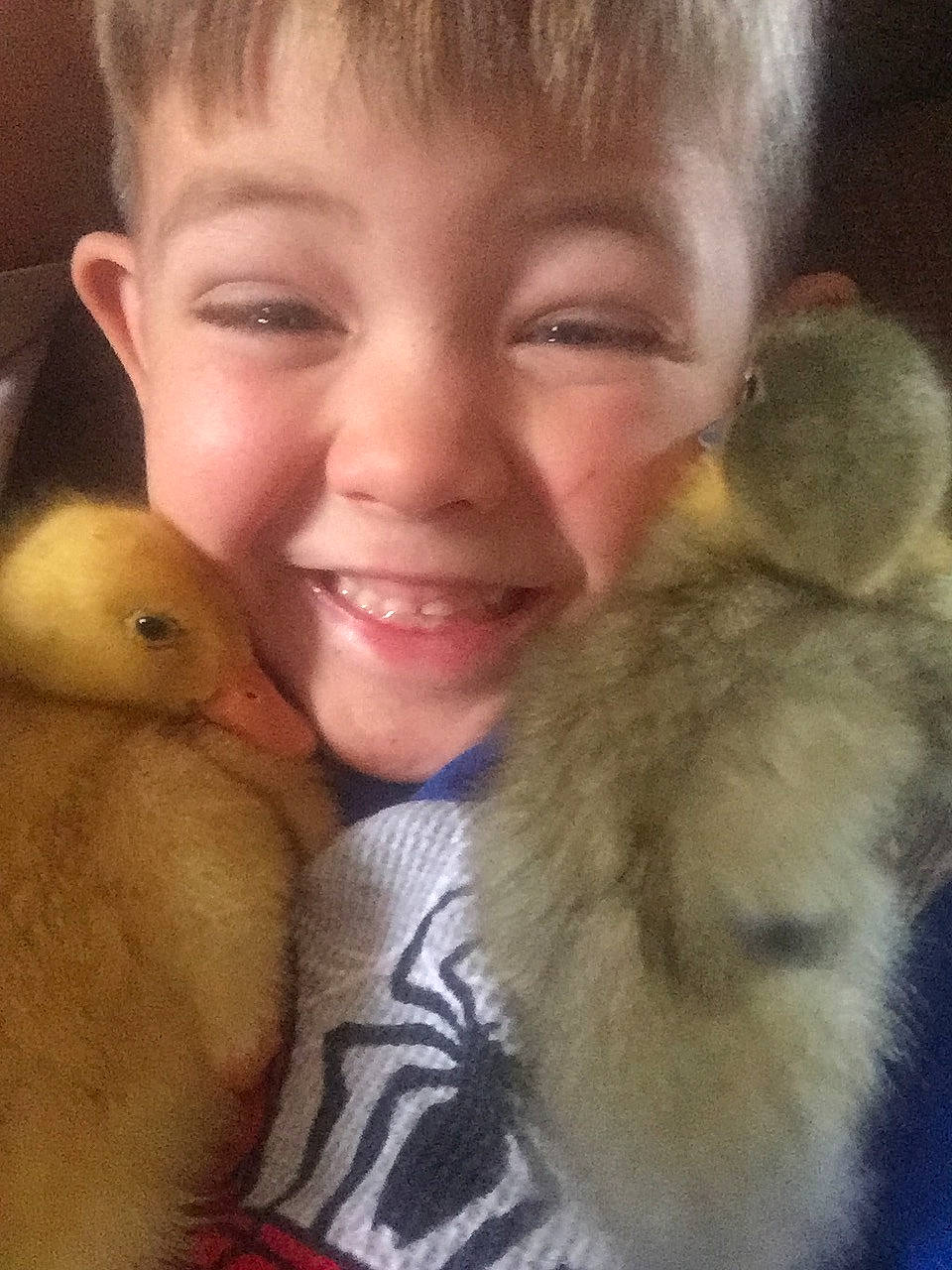 Tay joined the competition — help win amazing prizes! _geese_and_swans, bird, child, duck, ducks, fun, fur, gesture, happy, iris, joy, mammal, nose, organ, person, primate, selfie, sitting, skin, smile