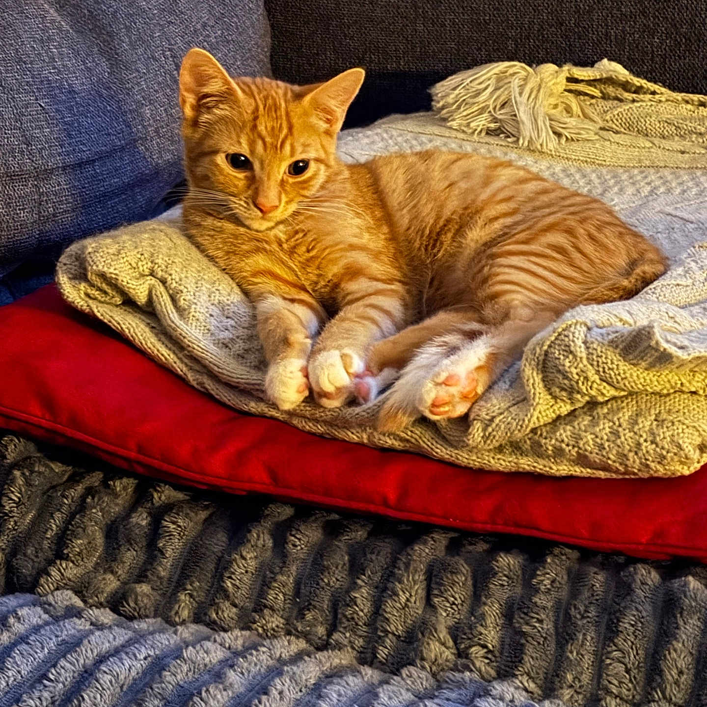 Rusty