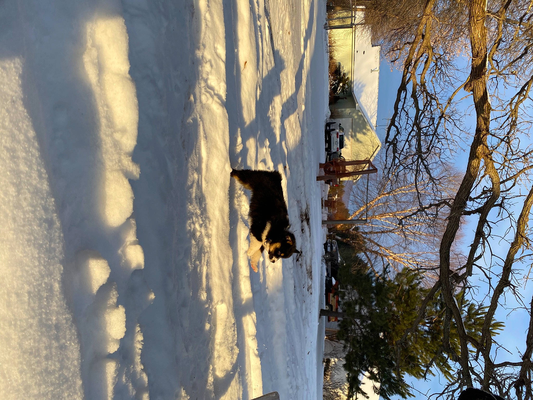 Elliot is registered to the contest to win money with this photo: biome, branch, building, freezing, house, morning, plant, sky, slope, snow, sunlight, tints_and_shades, tree, trunk, twig, wall, water, window, wood, world