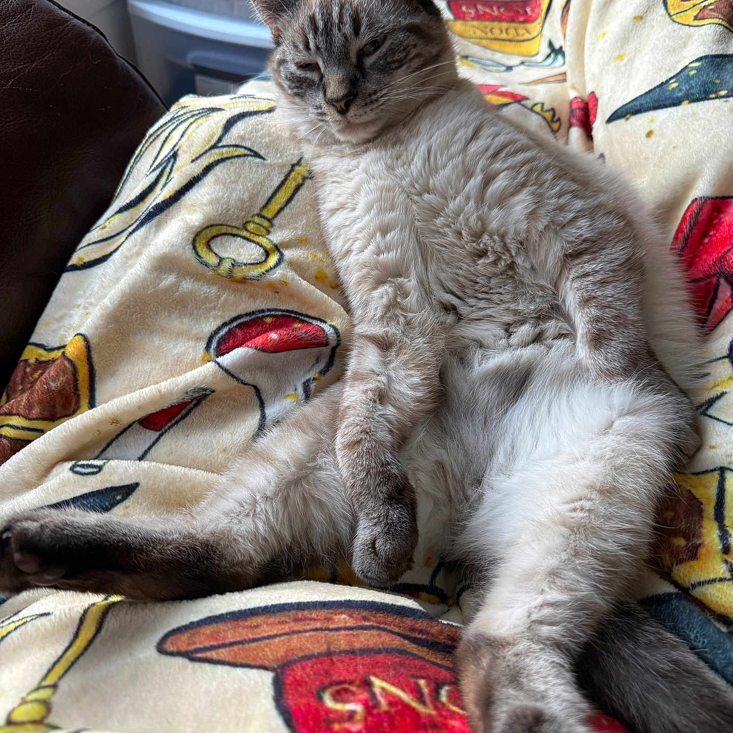 Jasper