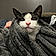 Berlioz
