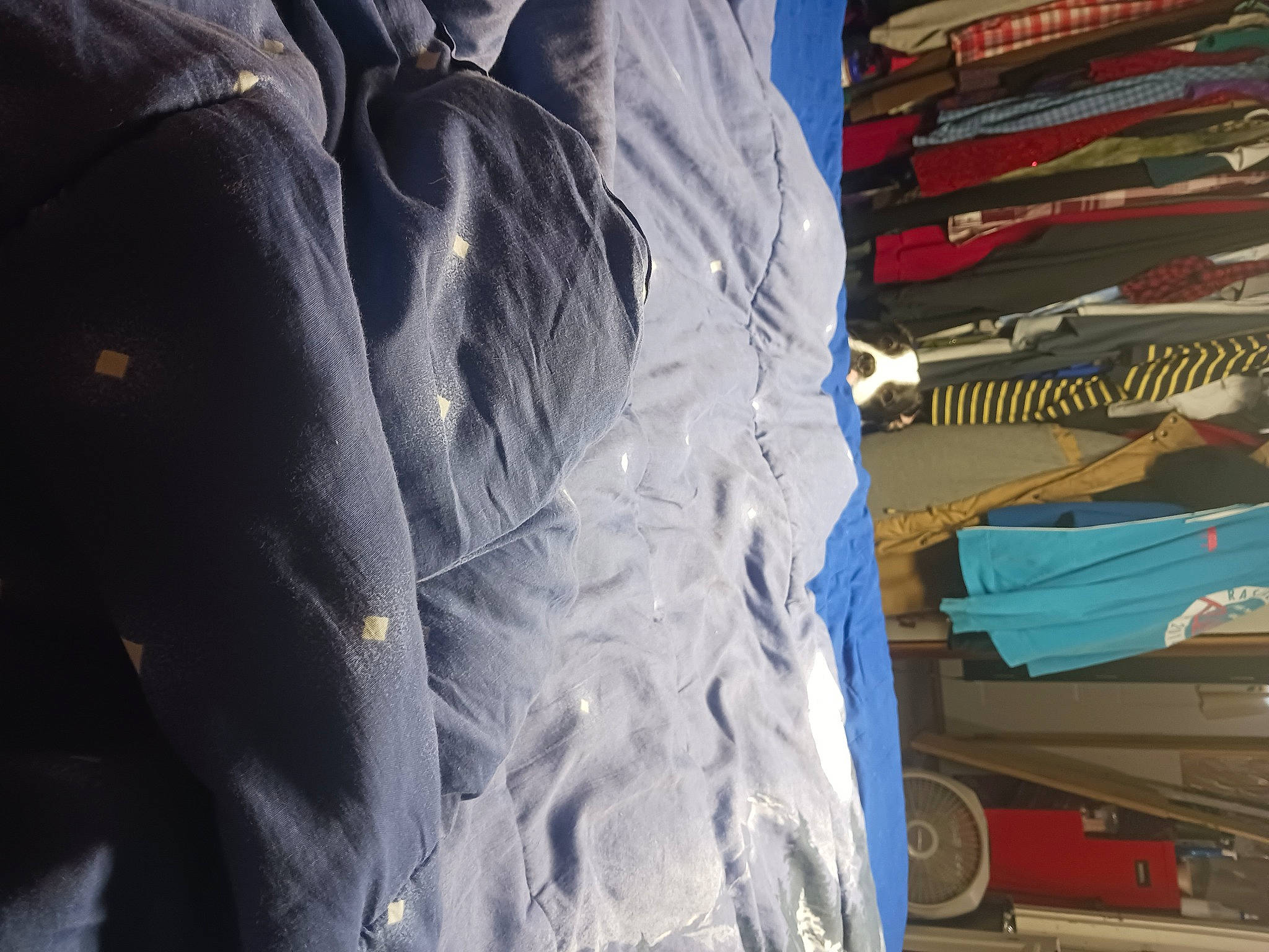 Mittens is registered to the contest to win money with this photo: art, automotive_design, automotive_exterior, automotive_tire, carmine, closet, denim, electric_blue, font, glove, linens, motor_vehicle, outerwear, plastic, publication, sportswear, synthetic_rubber, t_shirt, tints_and_shades, tread