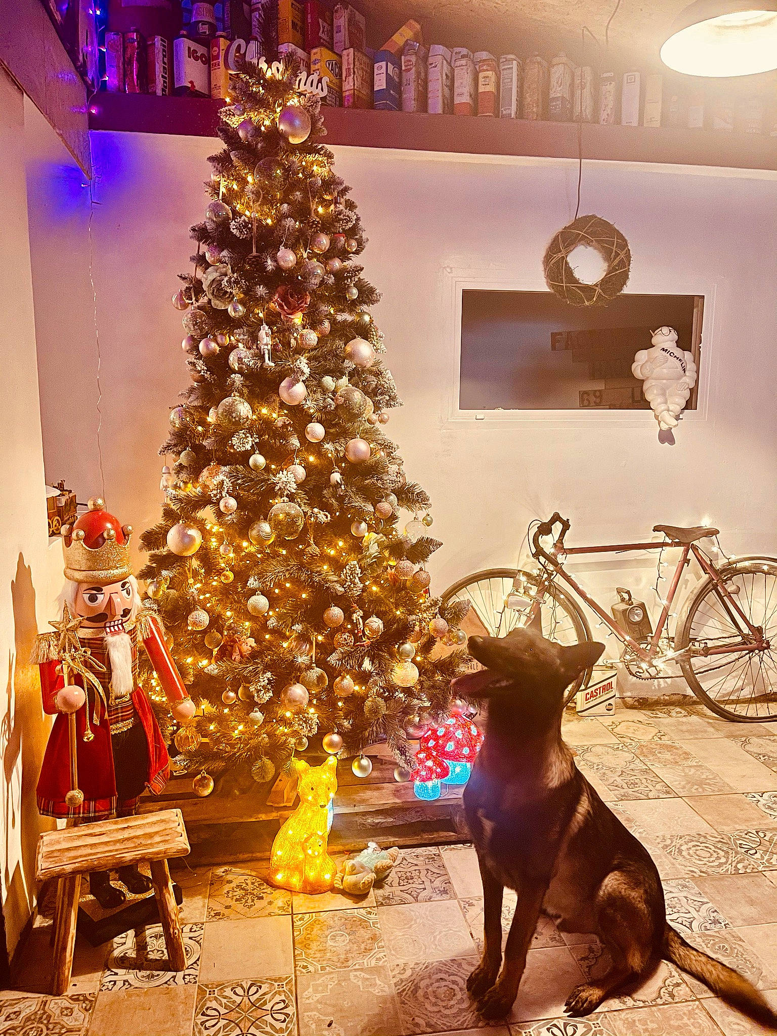 Buzz a rejoint le concours — aidez-le/la à gagner de superbes lots ! bicycle, bicycle_accessory, bicycle_fork, bicycle_frame, bicycle_tire, bicycle_wheel, bicycle_wheel_rim, bicycles_equipment_and_supplies, carnivore, christmas_decoration, christmas_eve, christmas_ornament, christmas_tree, dog, holiday, holiday_ornament, interior_design, lighting, room