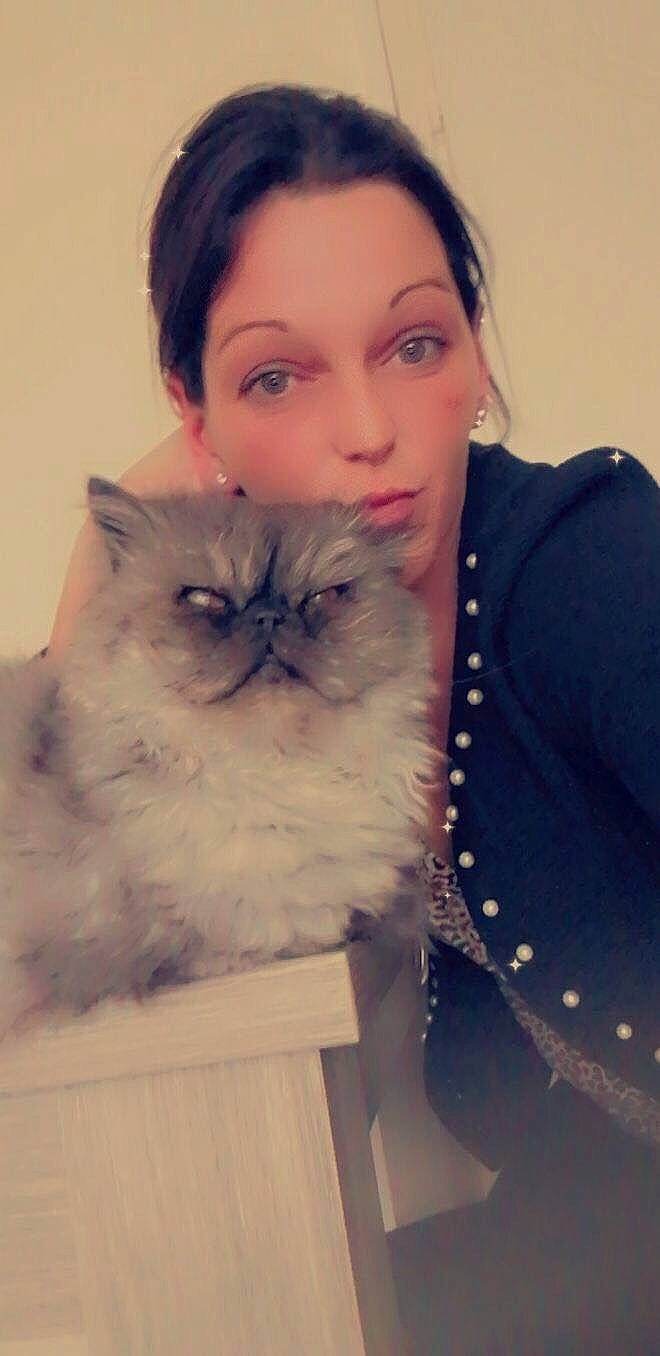 Tibelo participe au concours pour gagner de l'argent avec cette photo : abdomen, beard, british_longhair, carnivore, cat, chest, face, fashion_accessory, fawn, felidae, formal_wear, fur, hair, happy, jewellery, organ, sitting, sleeve, small_to_medium_sized_cats, whiskers