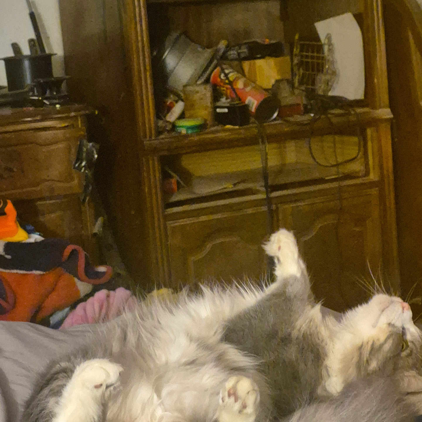 Sox