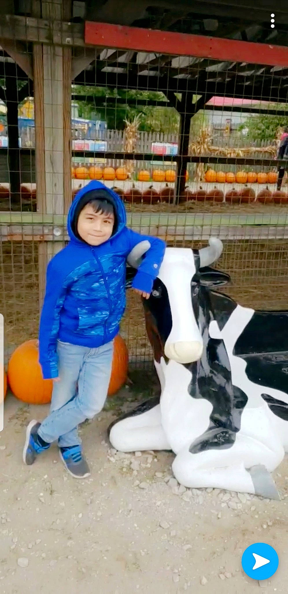 Jason joined the competition — help win amazing prizes! bovine, fun, horse, joy, livestock, person, recreation