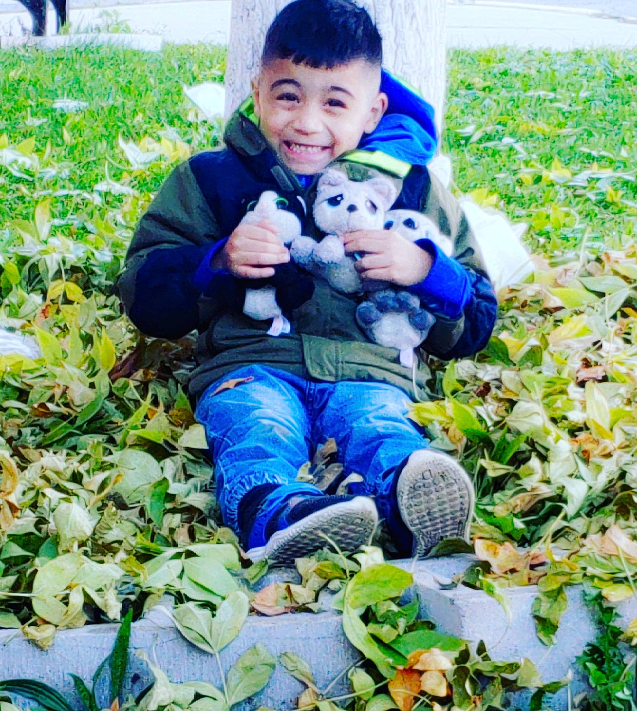 Jason is registered to the contest to win money with this photo: blue, child, cool, flower, grass, happy, joy, leaf, male, person, photography, plant, play, smile, toddler