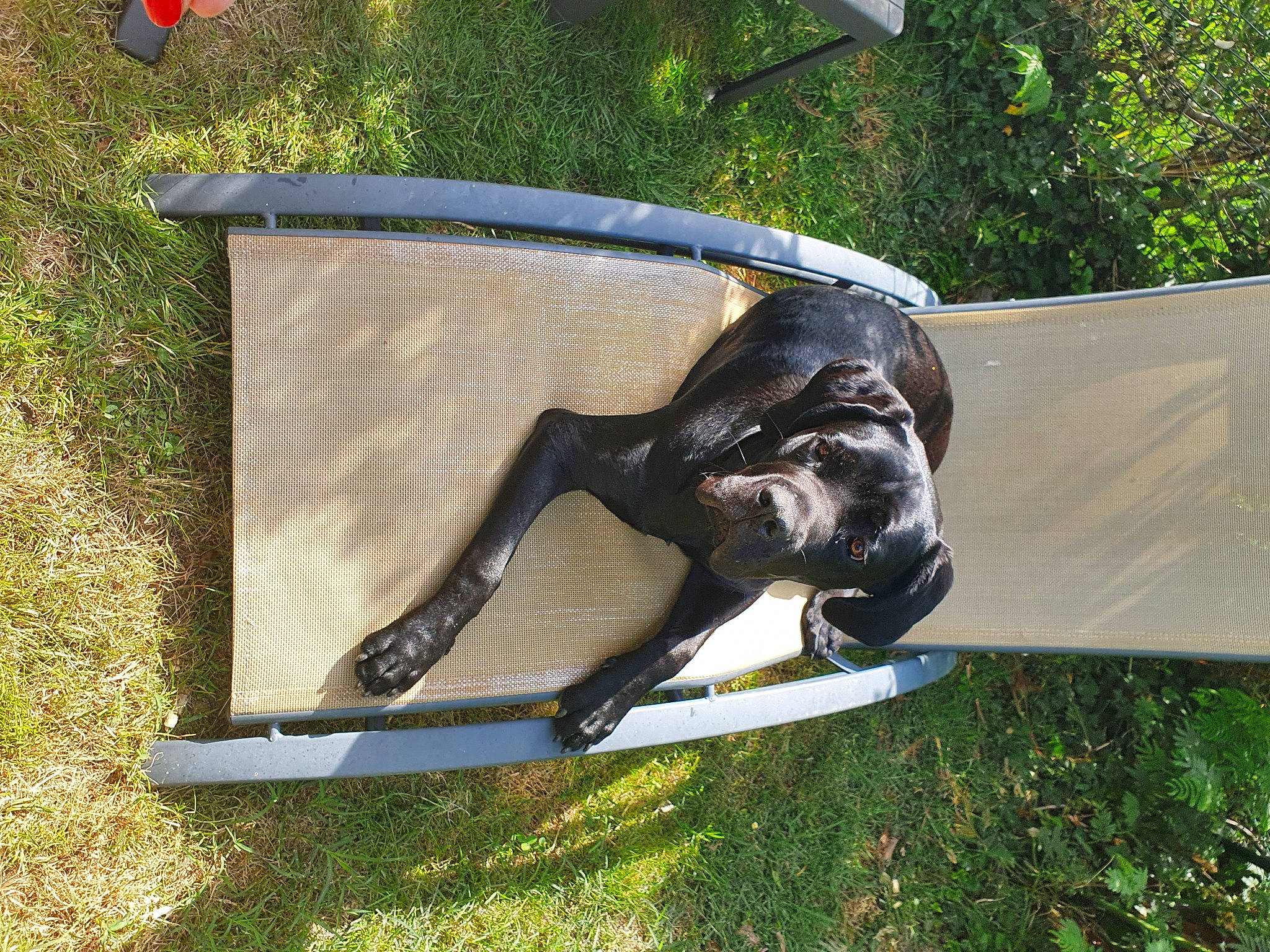 Simone a rejoint le concours — aidez-le/la à gagner de superbes lots ! art, auto_part, automotive_exterior, automotive_wheel_system, bumper, garden, grass, lawn, lawn_ornament, leisure, memorial, metal, monument, plant, sculpture, statue, wood, working_animal, yard