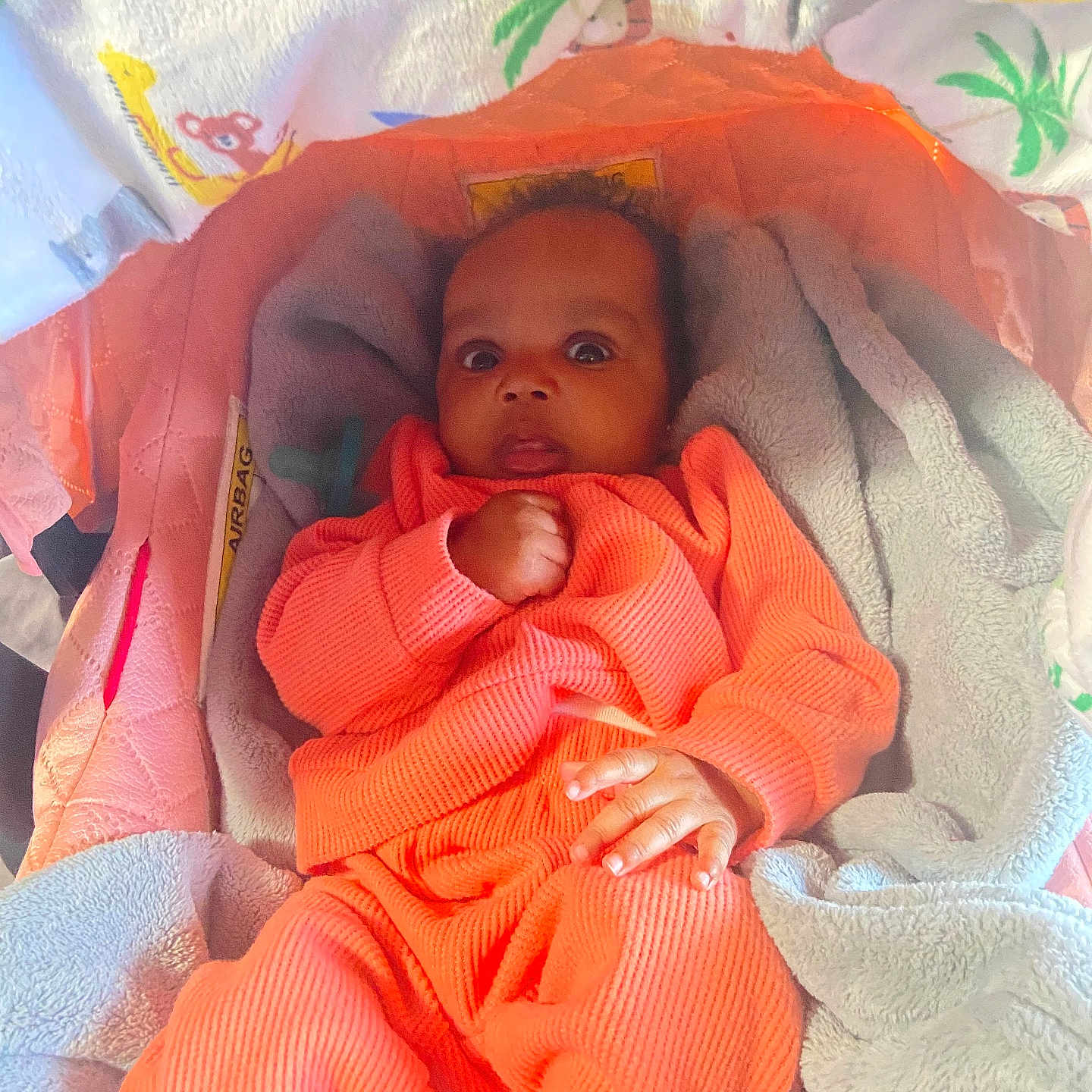 Eza -Ray joined the competition — help win amazing prizes! baby, bed, bedroom, blanket, bodypart, crib, cushion, face, finger, furniture, hand, head, homedecor, indoors, infantbed, newborn, person, photography, portrait, quilt
