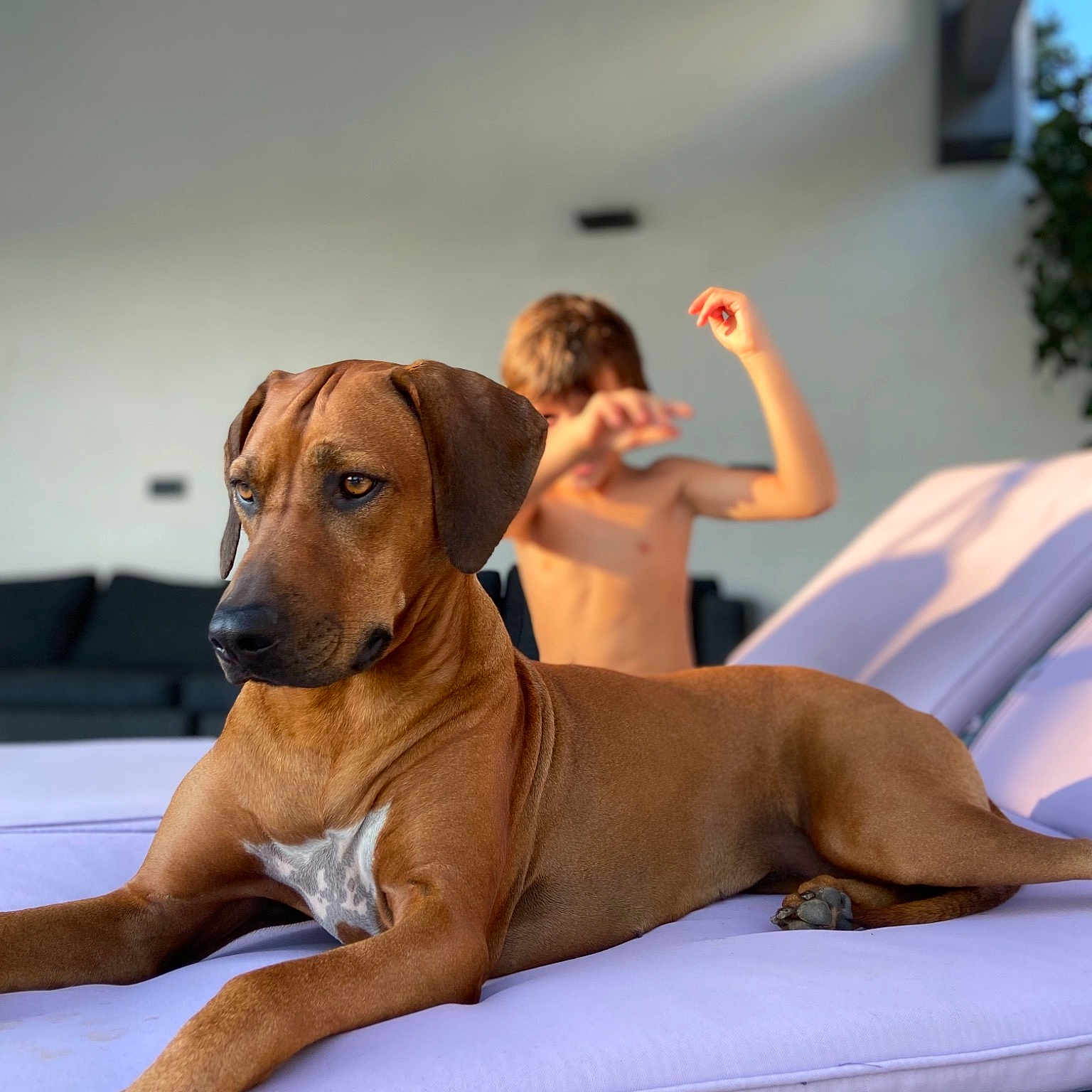 Nala