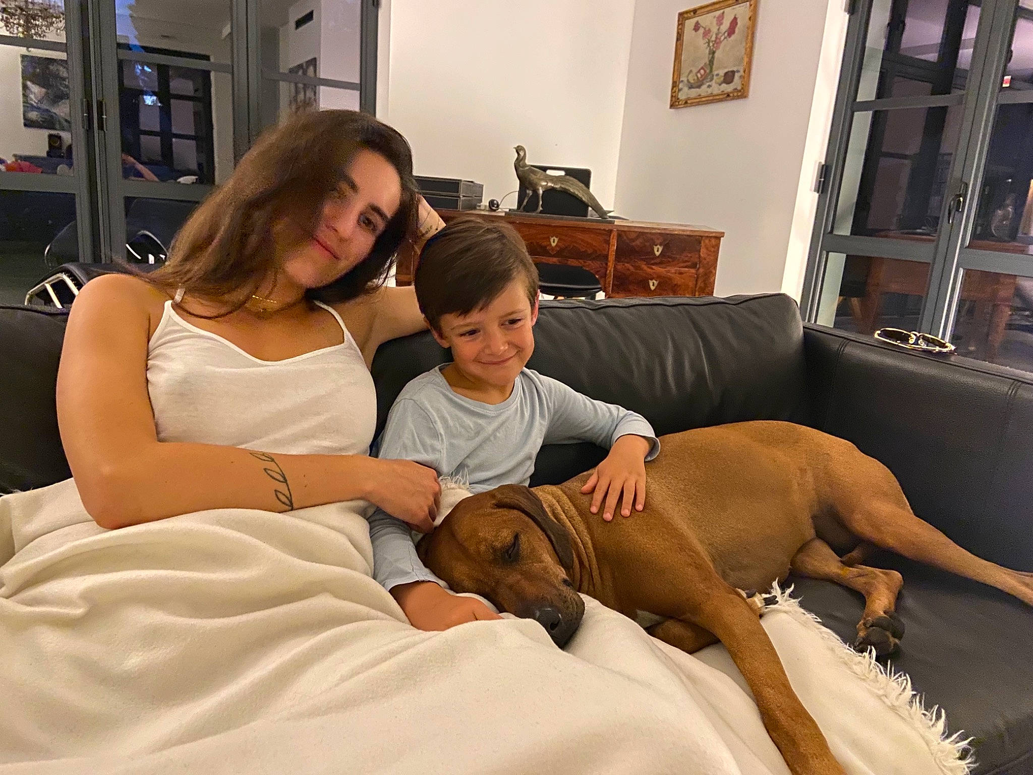 Nala a rejoint le concours — aidez-le/la à gagner de superbes lots ! abdomen, bed, bookcase, comfort, companion_dog, couch, dog, event, fawn, flooring, fun, human_leg, knee, lap, leisure, picture_frame, shelf, smile, television, thigh