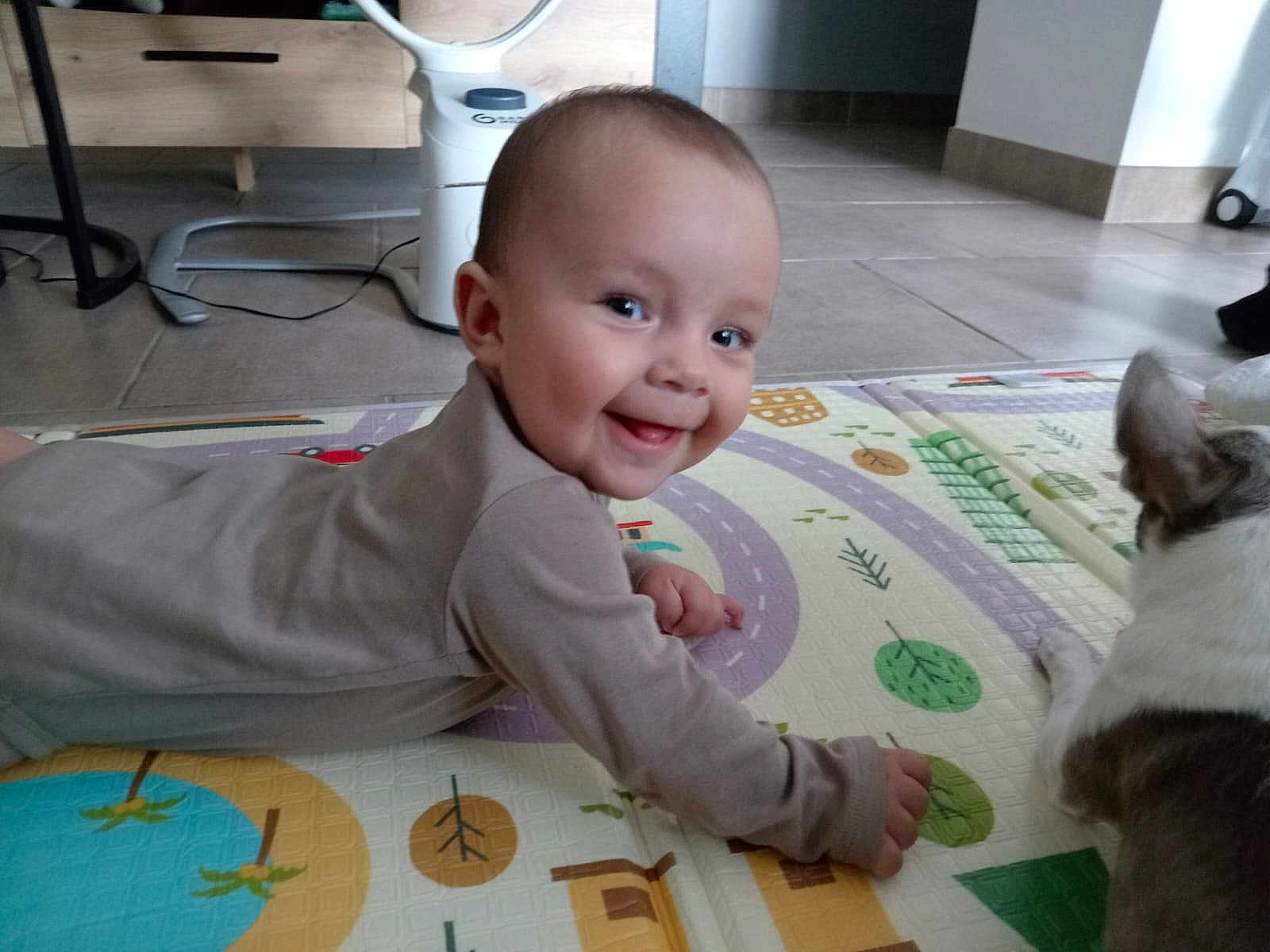 Jackson participe au concours pour gagner de l'argent avec cette photo : baby, child, smile, play_mat, dog, indoor, floor, happy, face, person, animal, pet, cute, toddler, clothing, head, looking, home, tile_floor, interaction