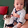 baby, child, dog, pet, striped_pajamas, couch, pillow, adult, hand, lap, indoor, cute, smiling, person, furniture, animal, small_dog, comfort, seated, portrait