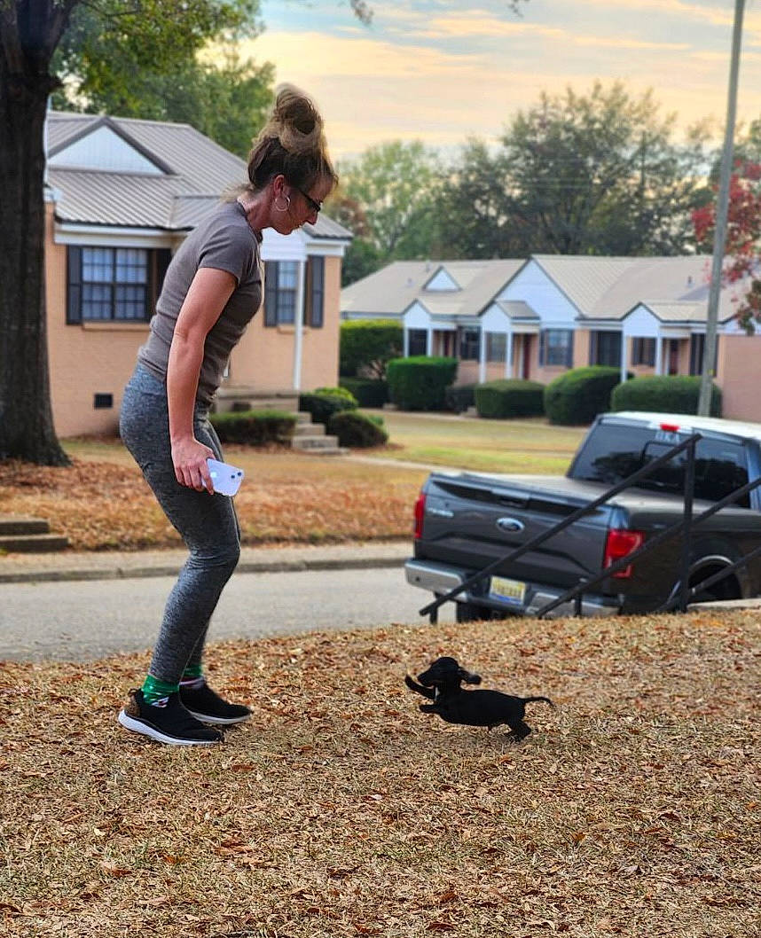 Edgar joined the competition — help win amazing prizes! asphalt, automotive_tire, bumper, car, grass, house, land_vehicle, landscape, leisure, plant, recreation, road, road_surface, sky, tire, tree, vehicle, wheel, window, wood