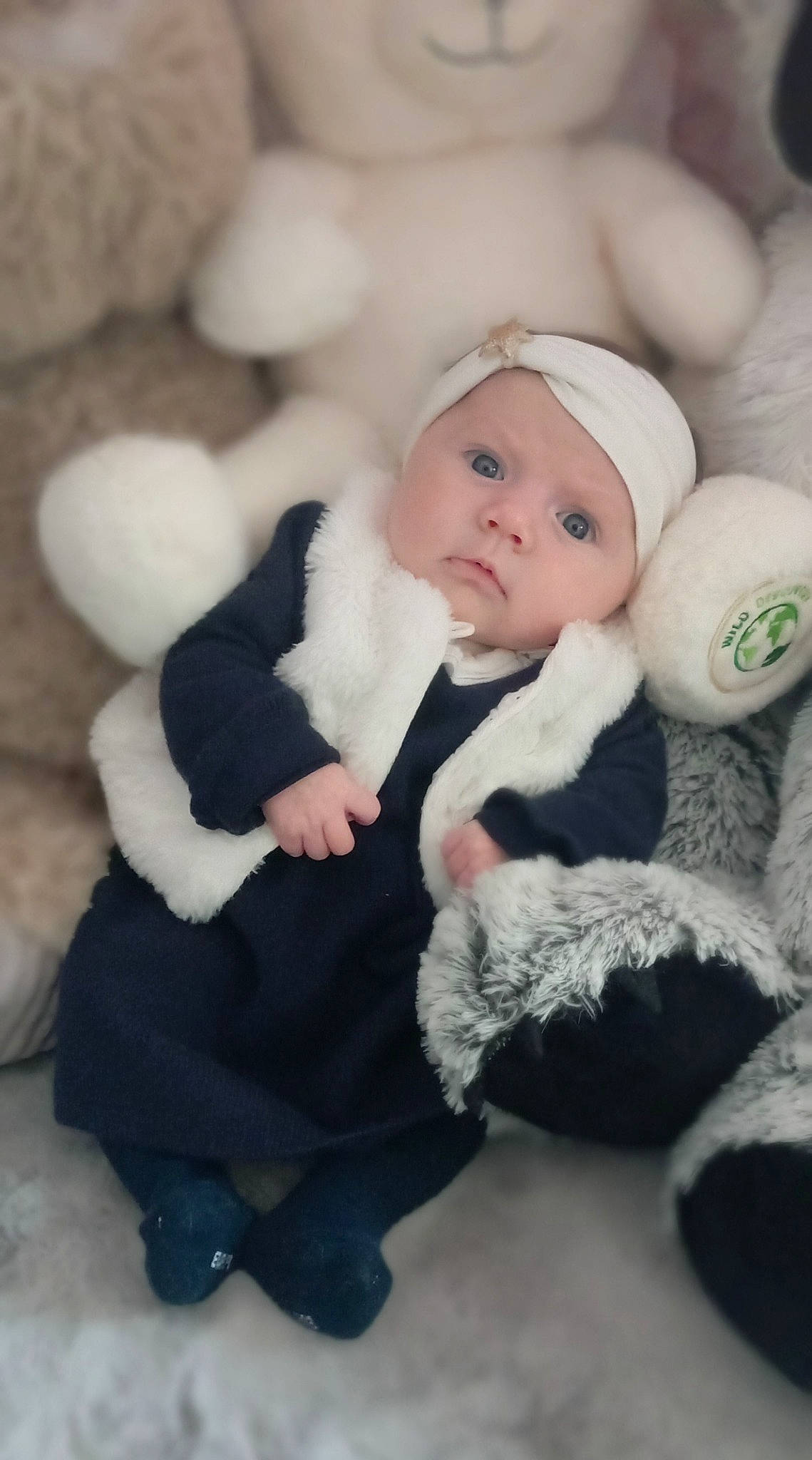 Lylou a rejoint le concours — aidez-le/la à gagner de superbes lots ! baby, baby_toddler_clothing, beanie, cap, cheek, child, comfort, fur, happy, head, headwear, knit_cap, mammal, person, skin, teddy_bear, textile, toddler, toy, vertebrate