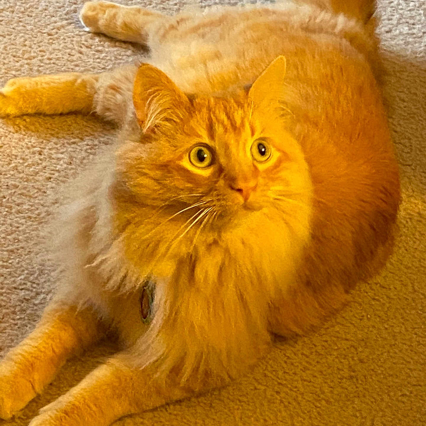 Schrodinger