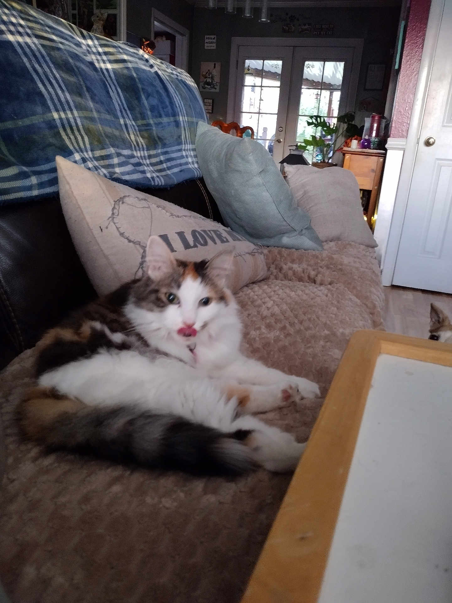 Sophie