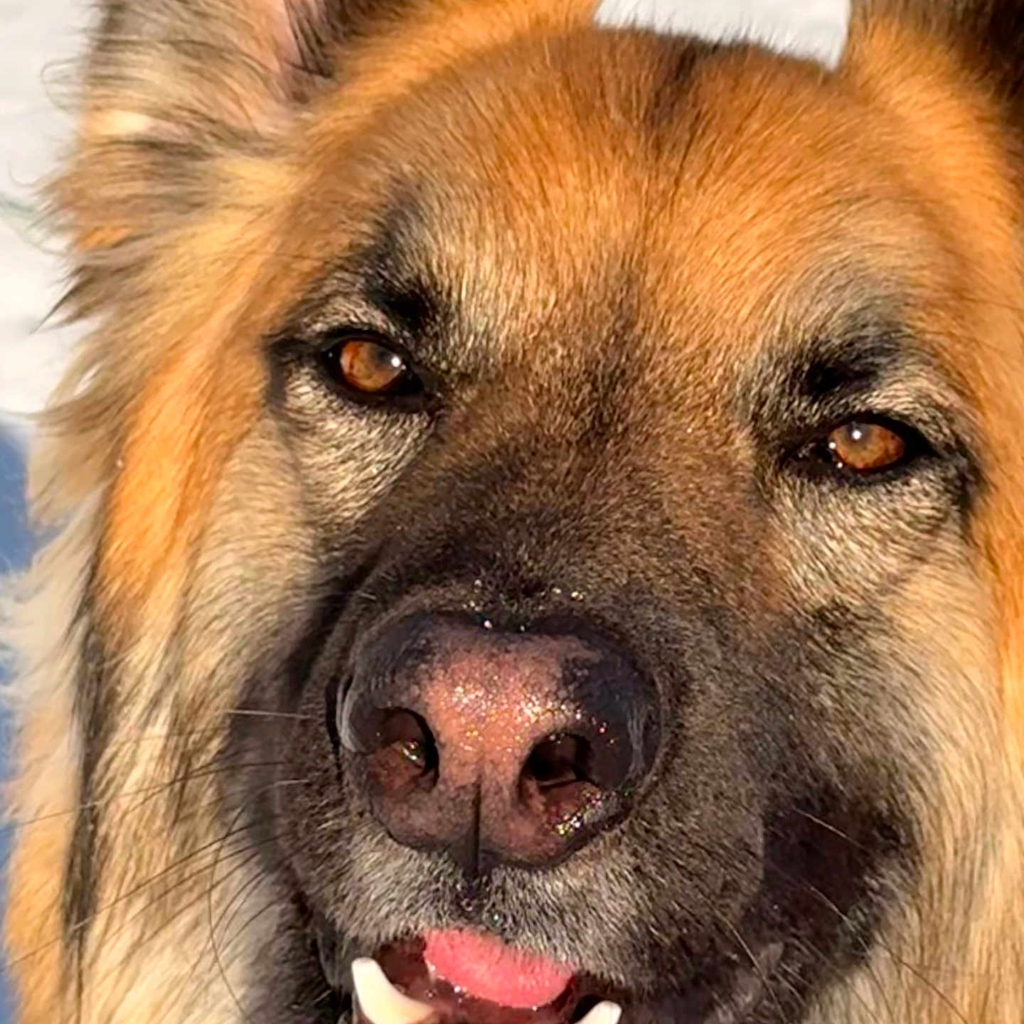 Zeke