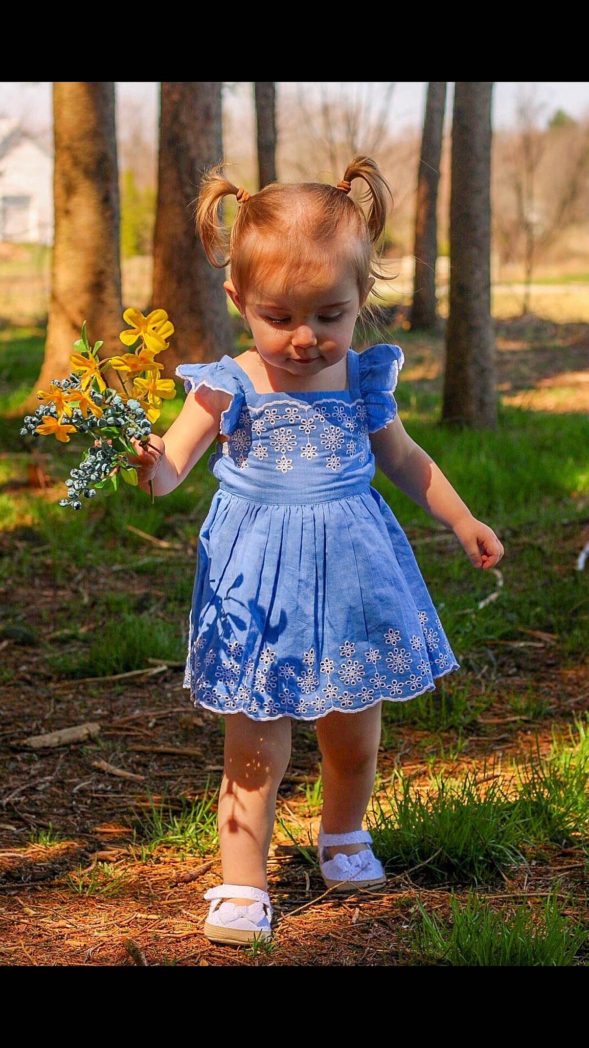 Hazel is registered to the contest to win money with this photo: baby_toddler_clothing, child, dress, electric_blue, forest, fun, grass, hair, happy, head, iris, leaf, morning, people_in_nature, person, plant, standing, summer, sunlight, toddler