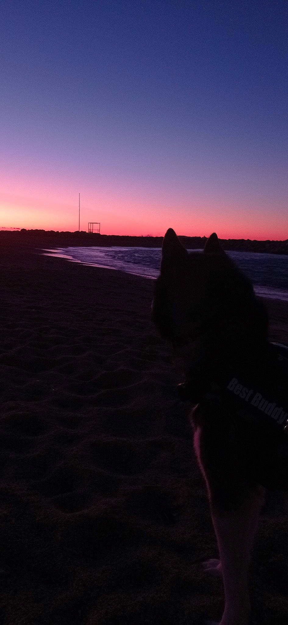 Wolf a rejoint le concours — aidez-le/la à gagner de superbes lots ! afterglow, astronomical_object, atmosphere, beach, body_of_water, calm, cloud, coast, dawn, dusk, horizon, landscape, natural_environment, red_sky_at_morning, sand, shore, sky, sunrise, sunset, wind_wave
