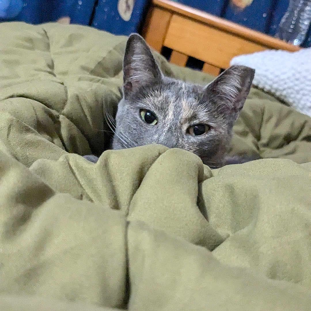 Luna
