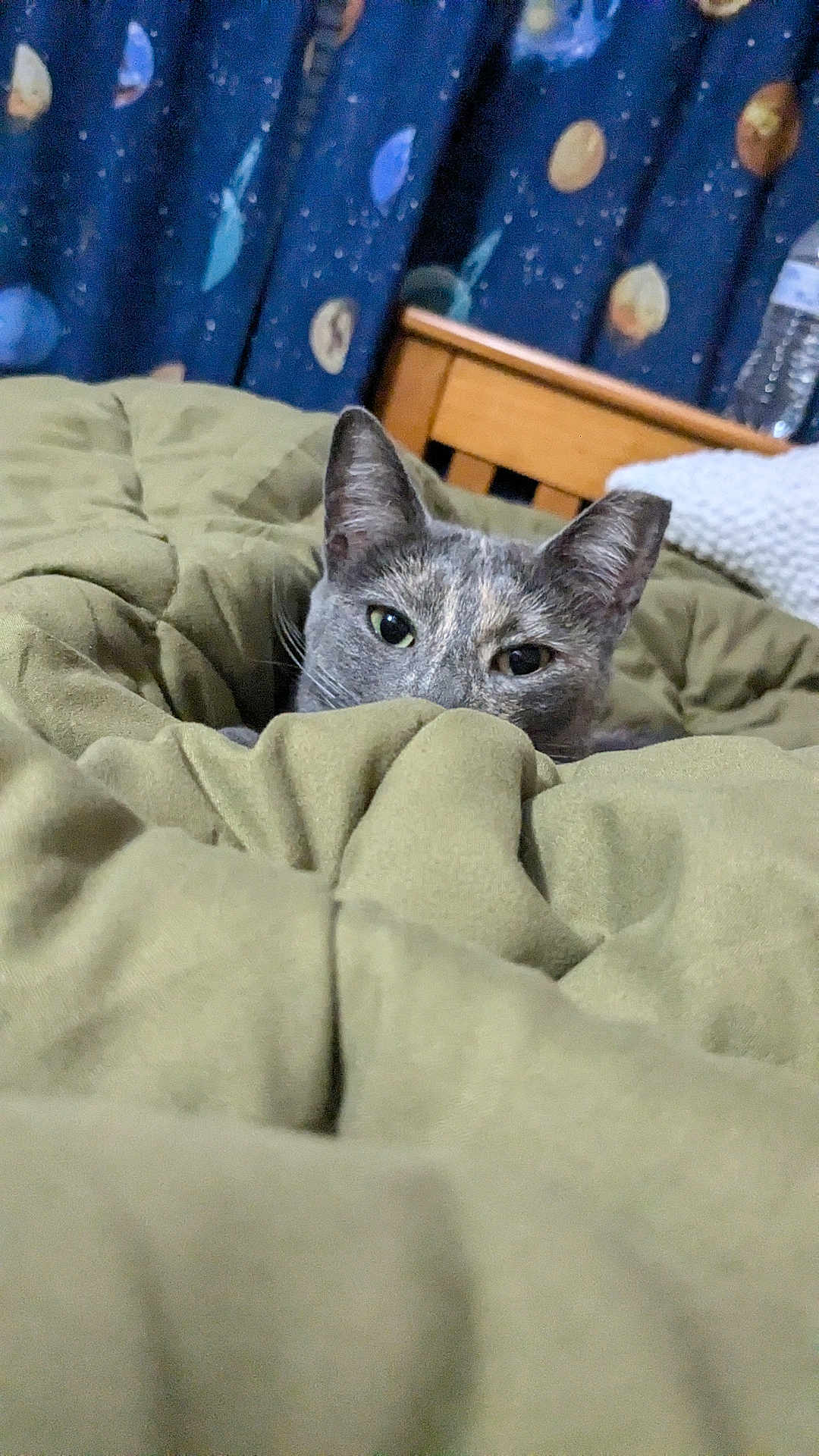 Luna