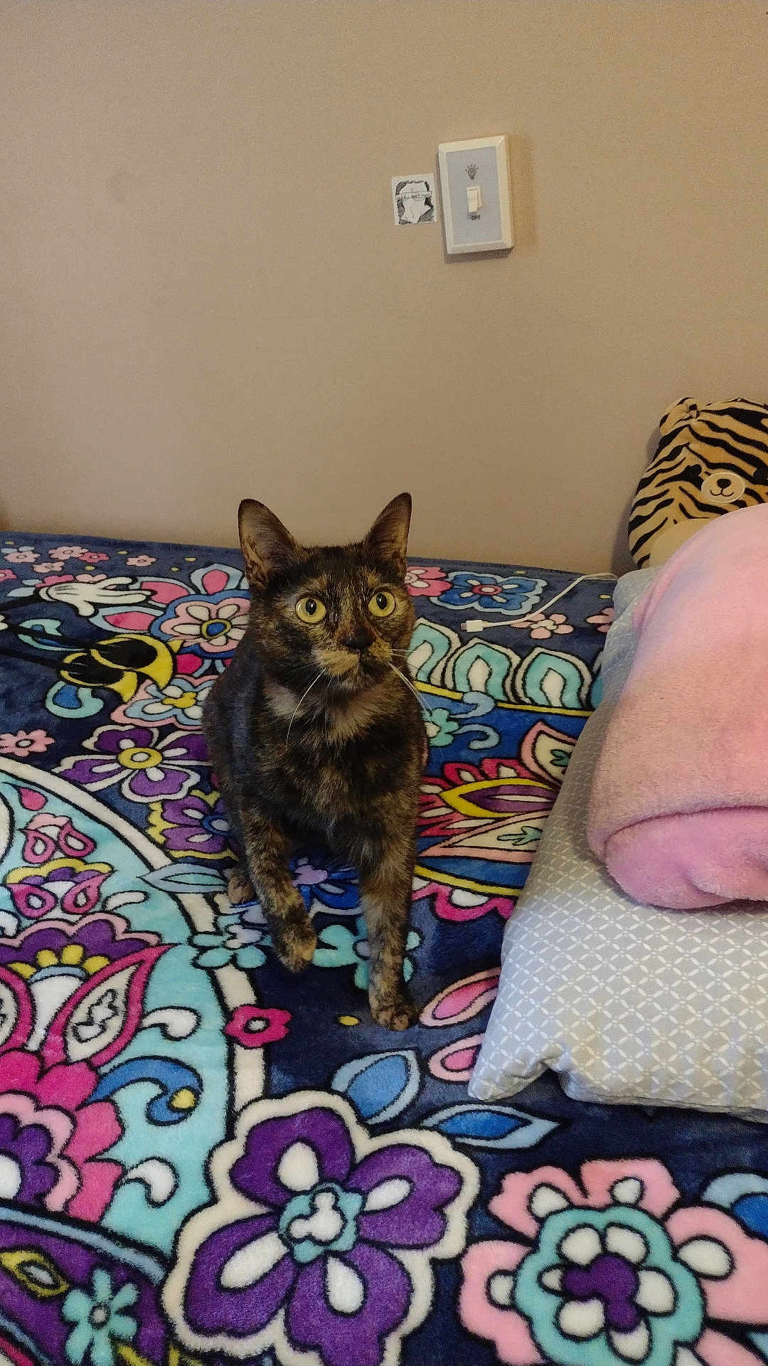 Nala
