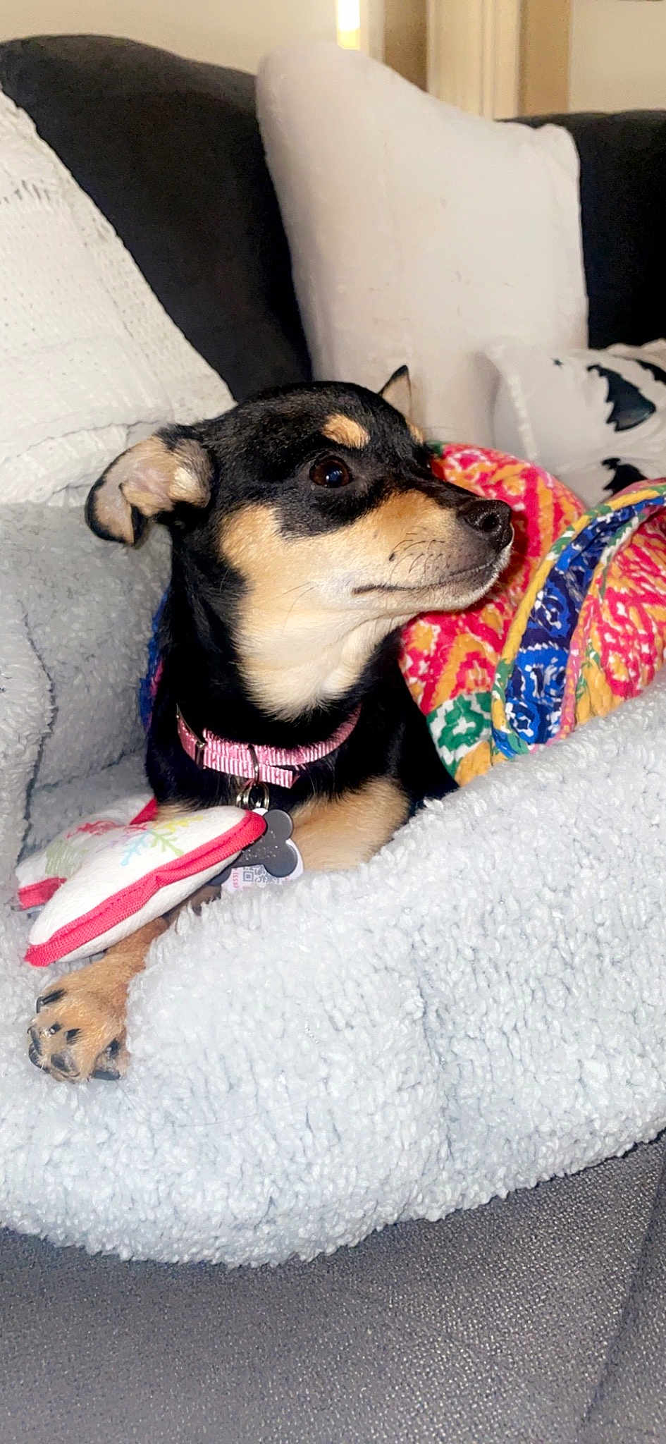 Cali
