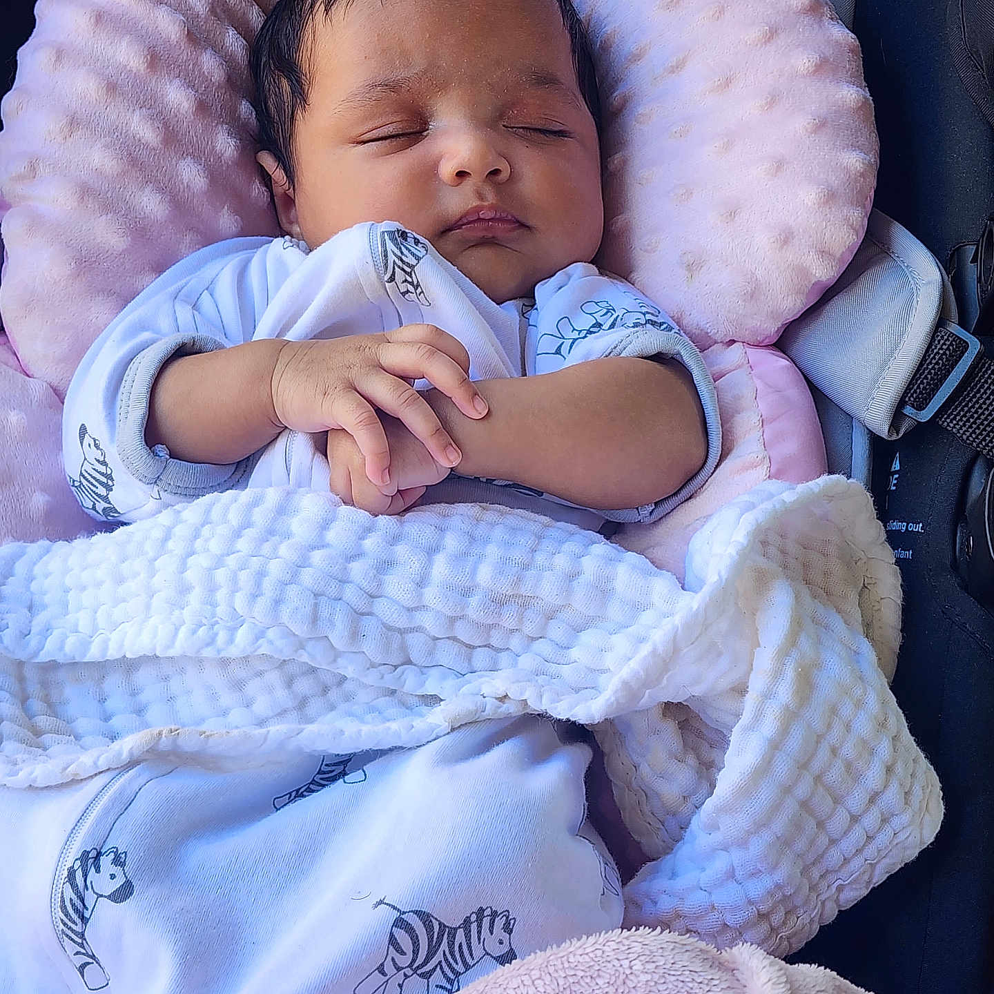 Lilith is registered to the contest to win money with this photo: baby, sleeping, blanket, pink, white, clothing, cushion, seat, infant, peaceful, resting, cozy, zebra_print, soft_texture, child, portrait, hands, cute, indoors, comfort