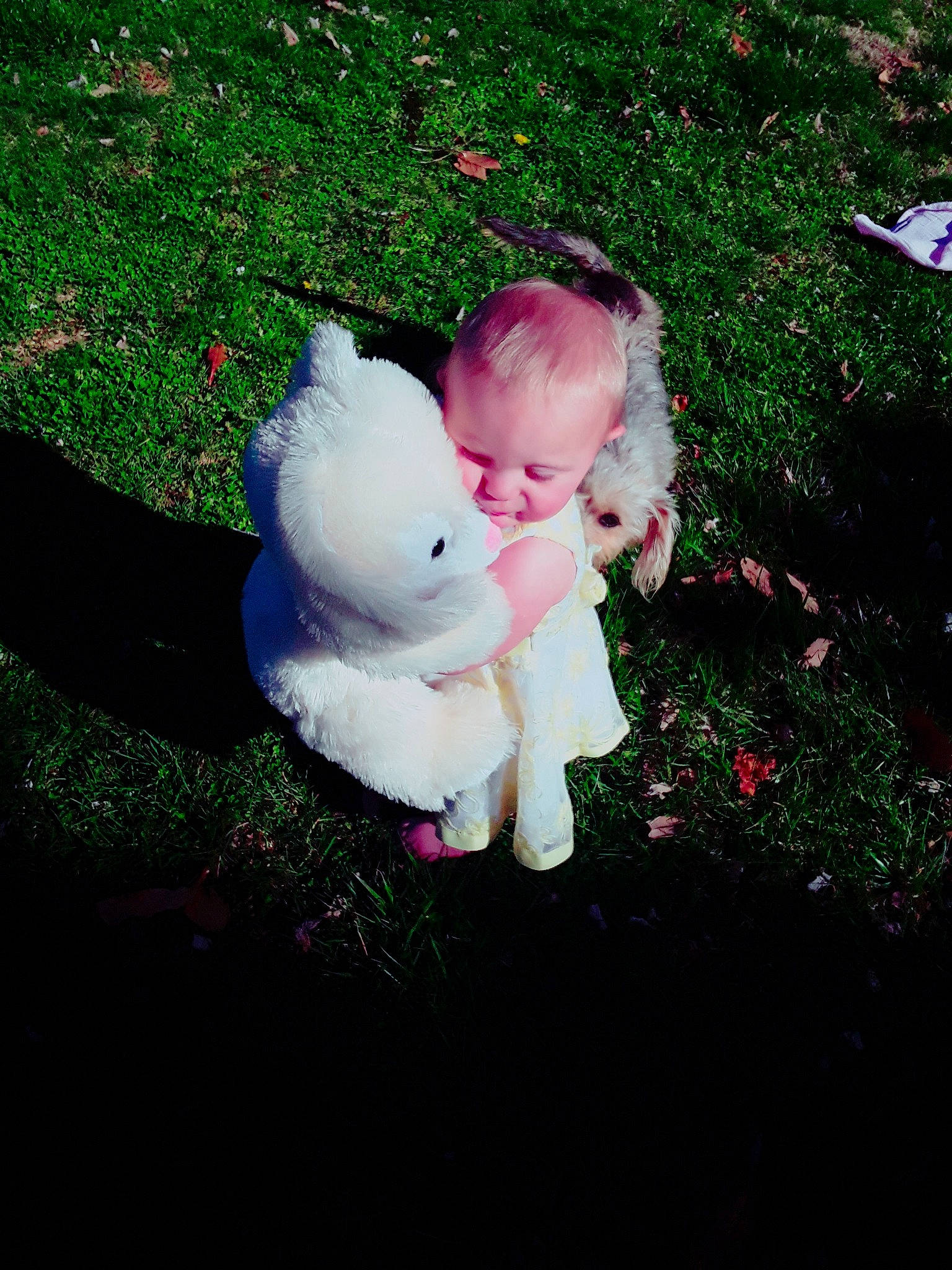 Layla joined the competition — help win amazing prizes! baby, child, grass, joy, leaf, person, pink, plant, smile, toddler