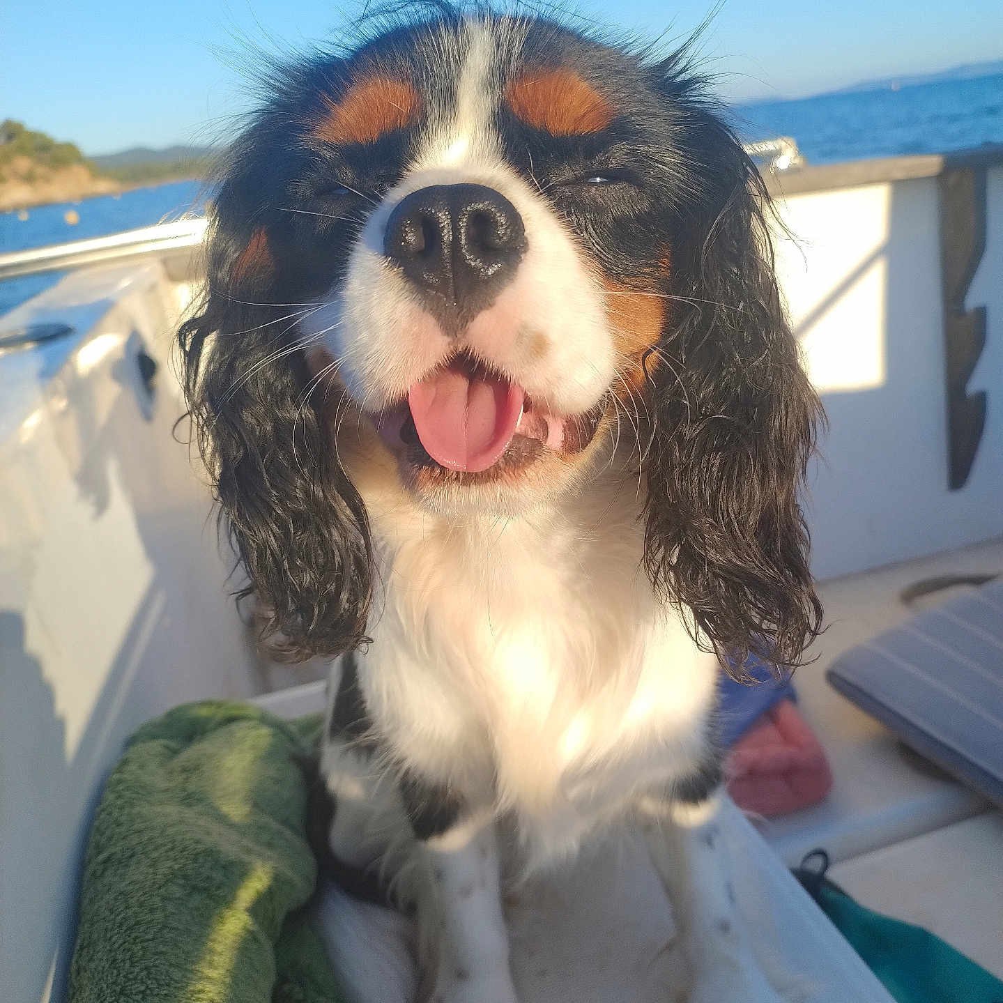 Azur Dit Titou