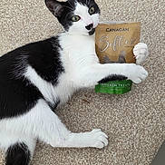 Ozzy is registered to the contest to win money with this photo: cat, black_and_white, carpet, pet, animal, treats, clutching, lying_down, indoor, whiskers, ears, paws, fur, cute, playful, relaxed, food_packet, close_up, domestic, feline