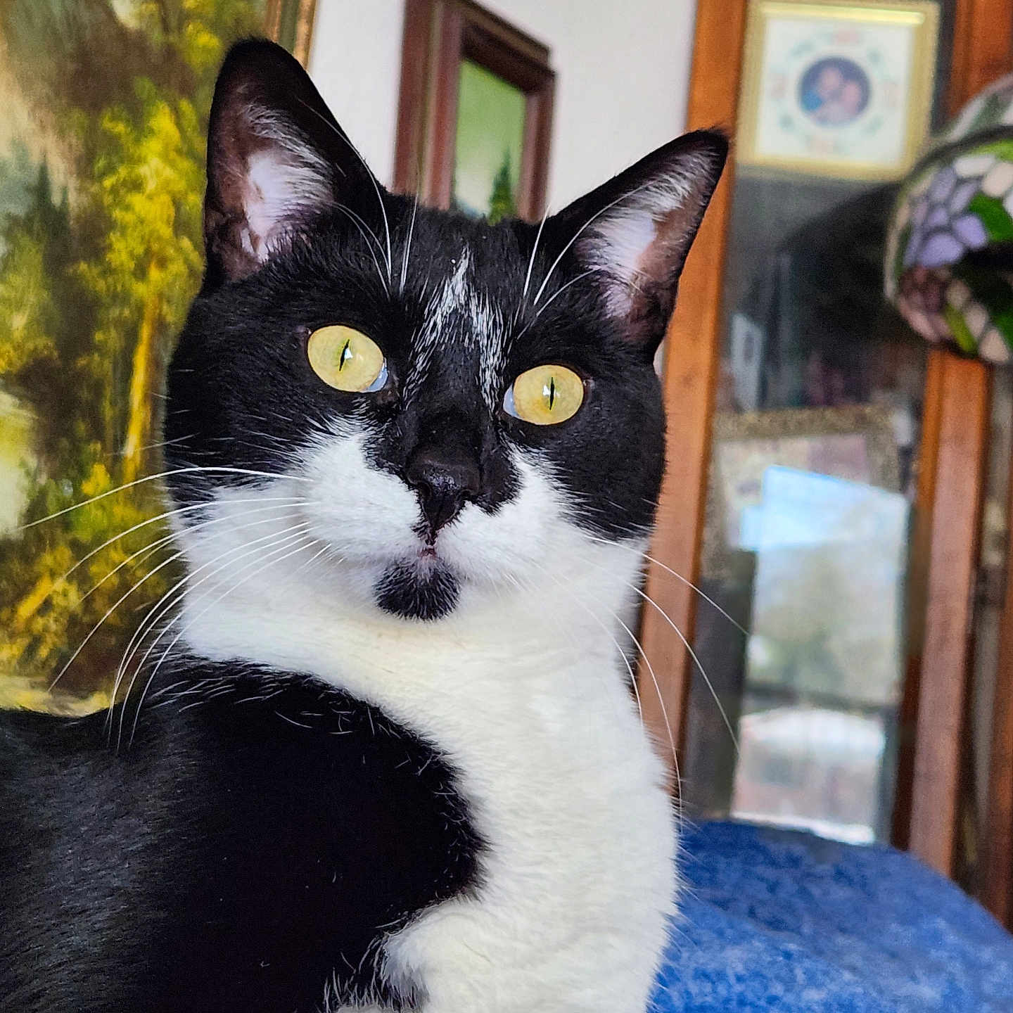 Bootsie