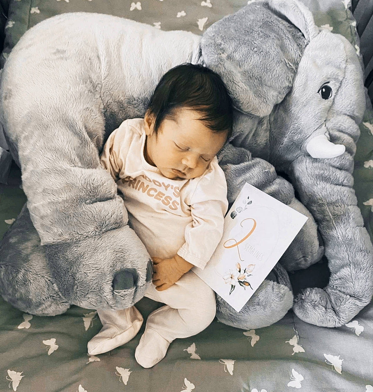 Maylie a rejoint le concours — aidez-le/la à gagner de superbes lots ! baby, carmine, child, comfort, facial_expression, finger, fur, gesture, grass, happy, human, interaction, monochrome, monochrome_photography, person, product, sitting, skin, stuffed_toy, toddler